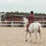 Horse Arena