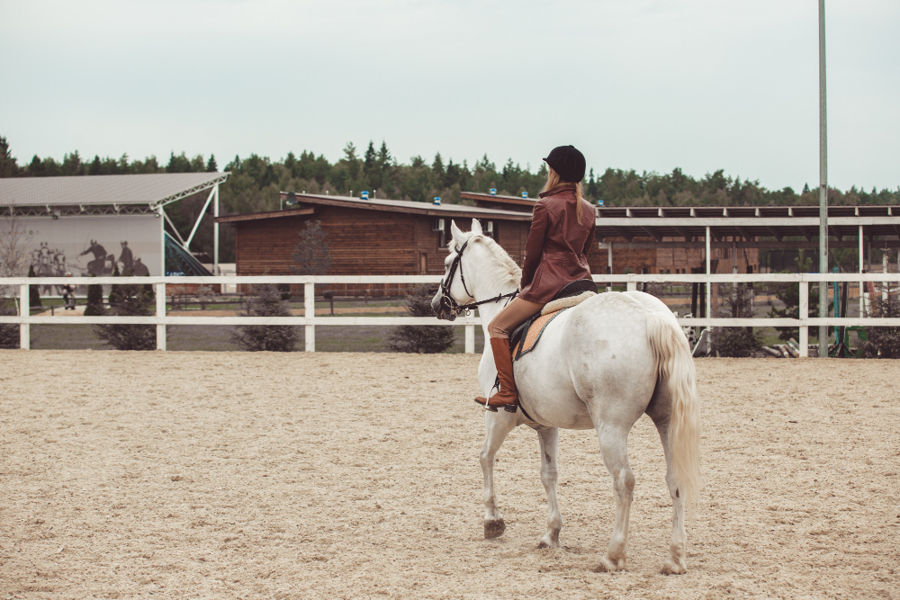 Horse Arena