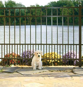best fence company near me