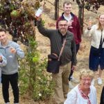 Sonoma Valley Wine Tours