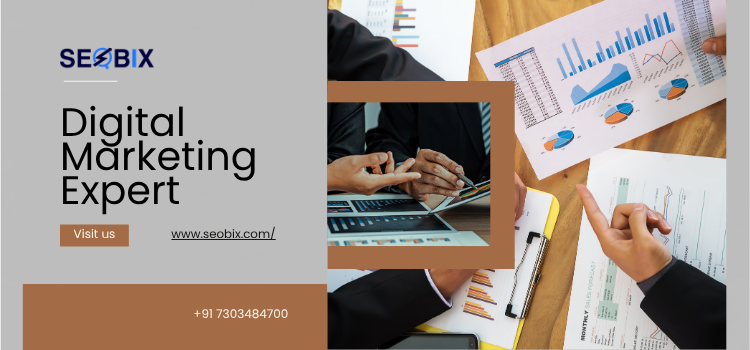 +91 7303484700