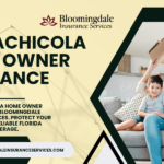 Apalachicola home owner insurance
