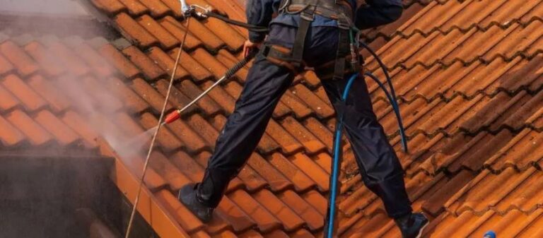 Roof Cleaning Near Me