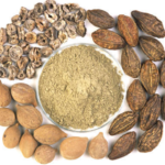 Triphala Extract Manufacturers