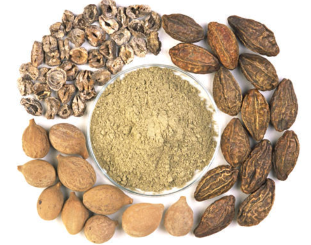 Triphala Extract Manufacturers