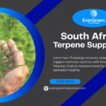 South Africa Terpene Suppliers