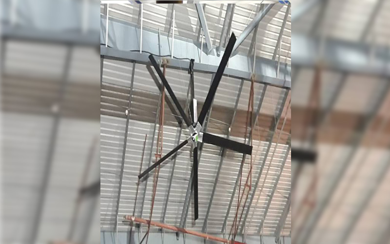 Best Giant Fans in Gurgaon | MG Fans