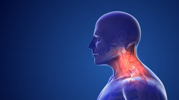 istockphoto-1497903501-612x612
