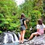 Sumatra Nature Adventure Tours