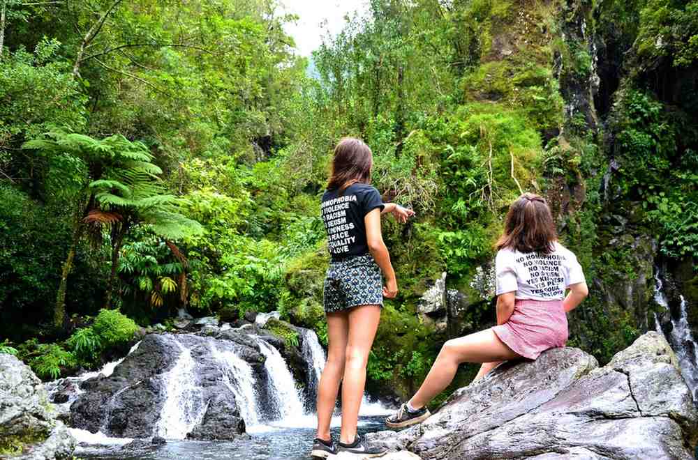 Sumatra Nature Adventure Tours