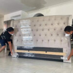 removalist curl curl