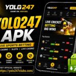 yolo apk