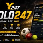 yolo247