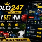 yolo247 (3)