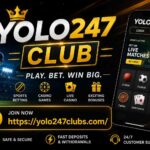 yolo247 club (3)