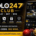 yolo247 club. (2)