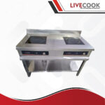 2 burner induction range manufacturers