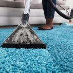 rug cleaning la jolla