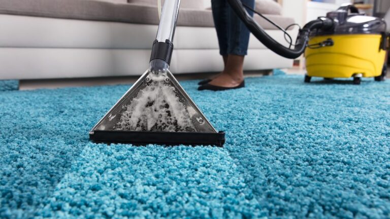 rug cleaning la jolla
