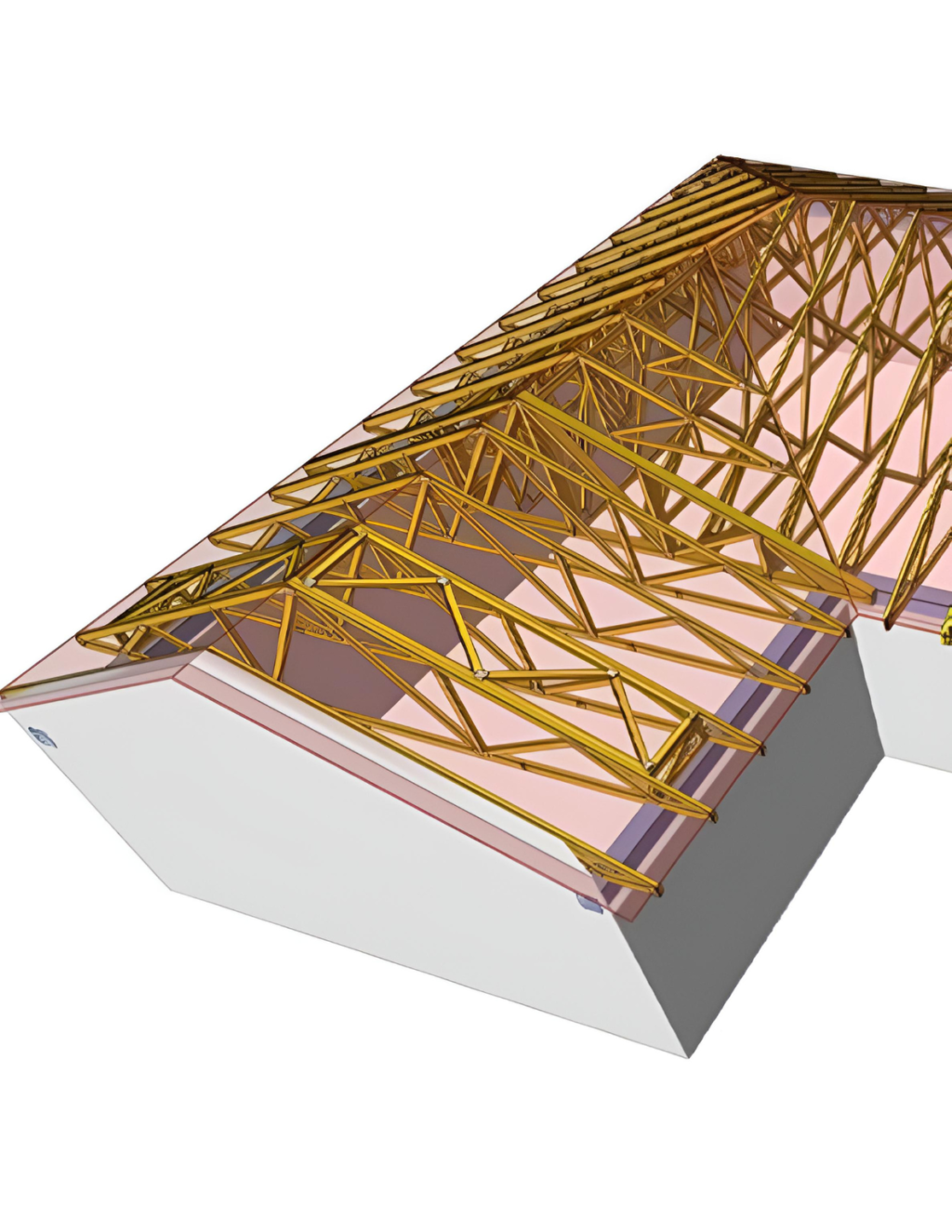 Roof framing system (1)