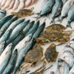 United States Seafood Market