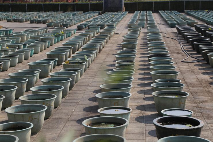 large-area-potted-plants-neatly-arranged-ground_1023618-41991