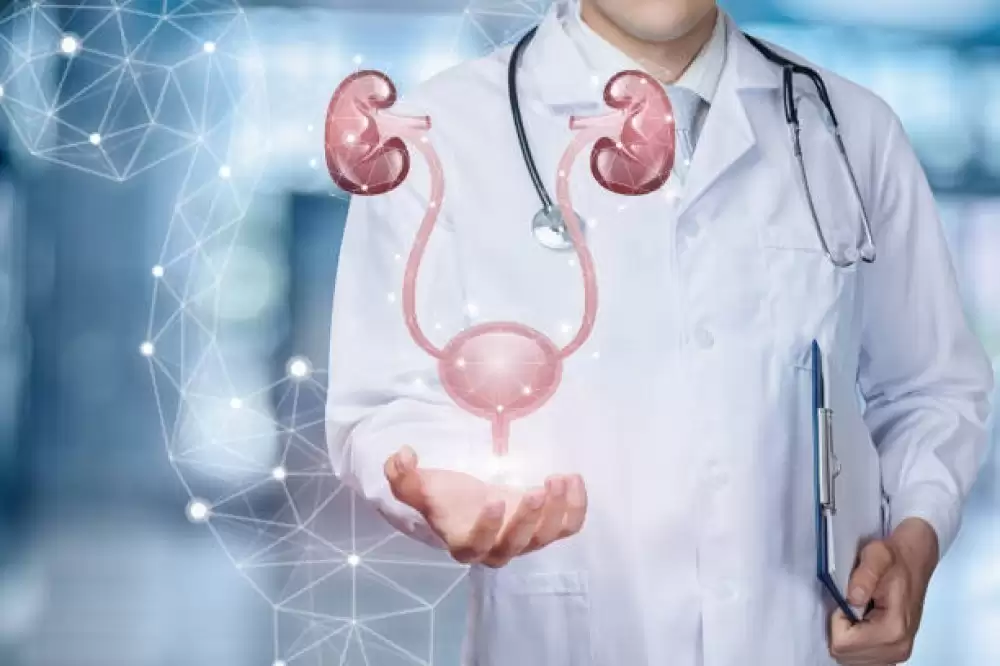 urologist in Dubai