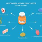 3d,Isometric,Flat,Vector,Illustration,Of,Health,Benefits,Of,Nad