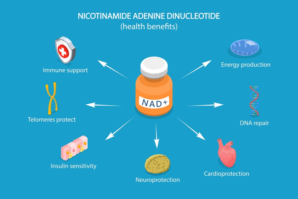 3d,Isometric,Flat,Vector,Illustration,Of,Health,Benefits,Of,Nad
