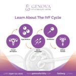 Best IVF Center in Pakistan