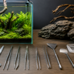 Aquascaping tools every beginner needs: Australia buyer's guide