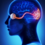 NeuroSalt