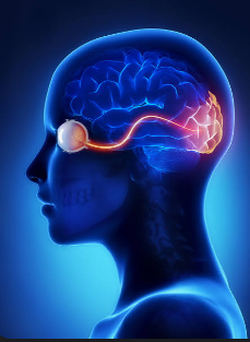 NeuroSalt