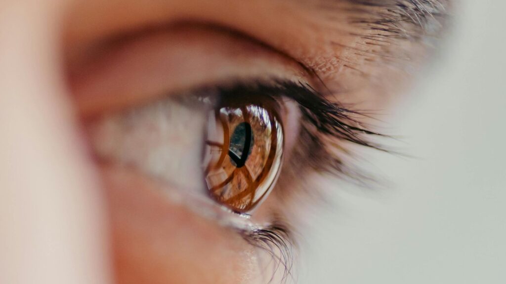 United States Contact Lenses Market