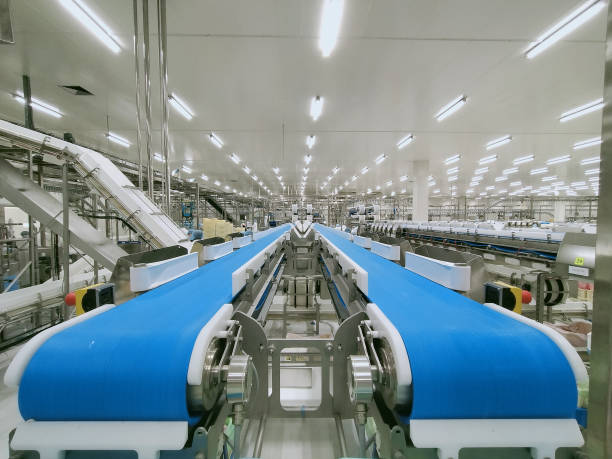 rubber processing plant project report