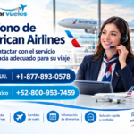American Airlines Travel Support Poster