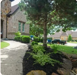 Modern Landscape Design in Austin TX