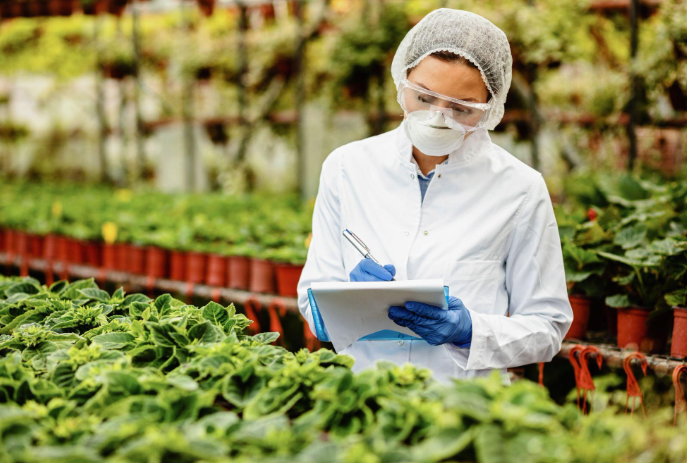 HACCP Colombia