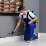 Termite Control Services in Lahore