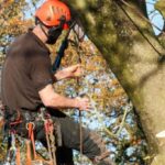 Tree services