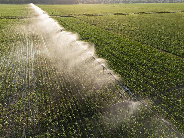 Aerial view of agricultural watering pivot irrigation system.