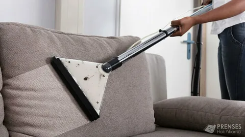 sofa cleaning services