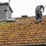 Moss Removal Roof