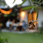 alt="Close-up of a mosquito resting on leaves in a backyard garden during dusk"