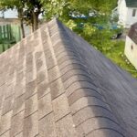 Home Damaged Asphalt Shingles