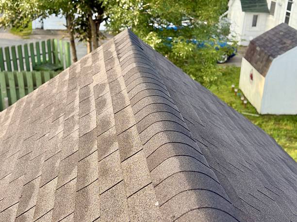 Home Damaged Asphalt Shingles