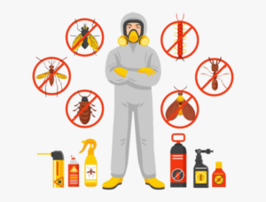 pest control in Lahore