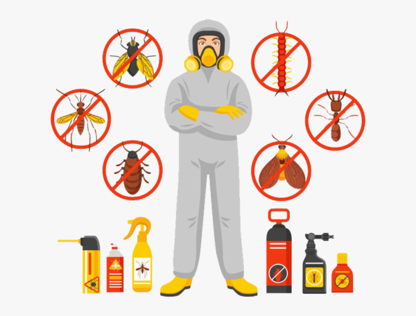 pest control in Lahore