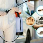 pest control services in Lahore