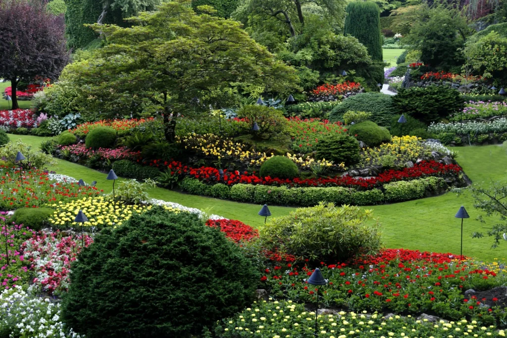 Tree services Blackpool